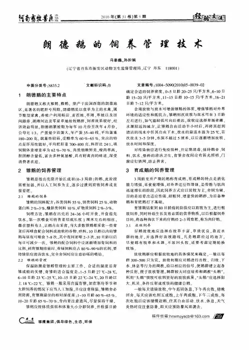 朗德鹅的饲养管理技术