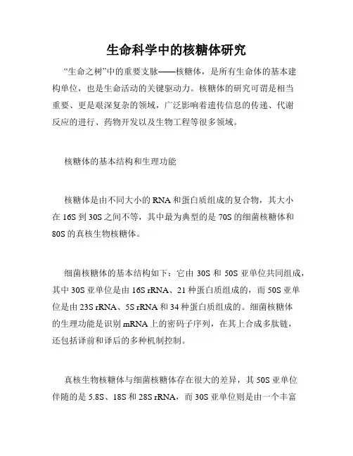 生命科学中的核糖体研究