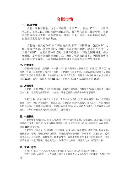 合肥市情