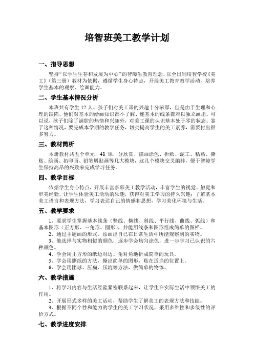 培智班美工教学计划