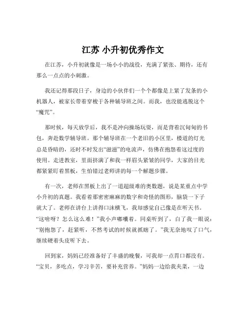 江苏 小升初优秀作文