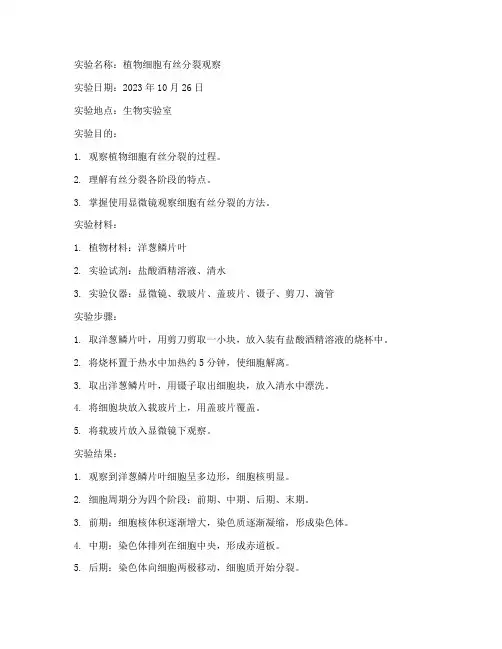 普通生物实验报告