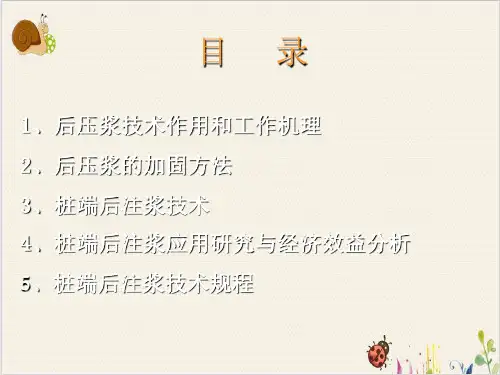 钻孔灌注桩的后压浆技术PPT.