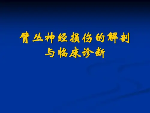臂丛神经损伤的临床表现及诊断PPT课件