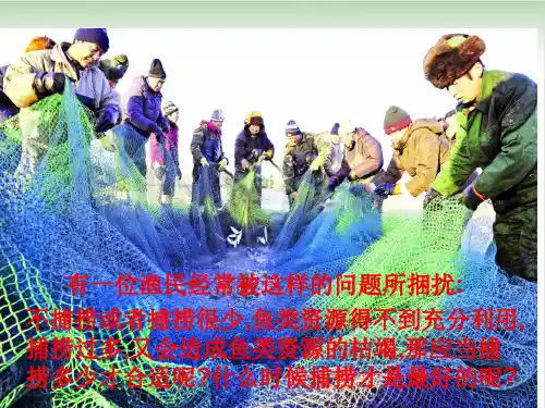 《种群数量的变化》ppt课件人教版15