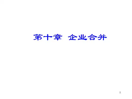 第十章 企业合并