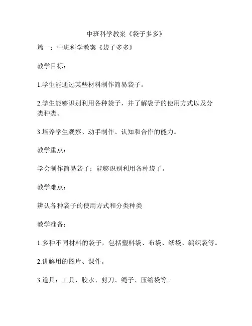 中班科学教案《袋子多多》