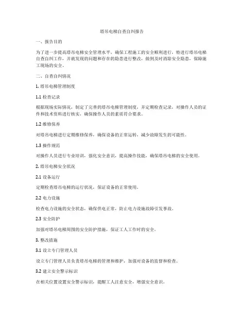 塔吊电梯自查自纠报告