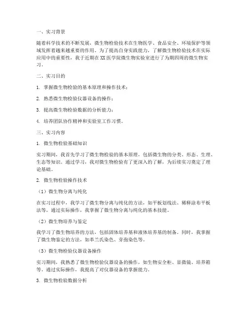 检验技术微生物实习报告