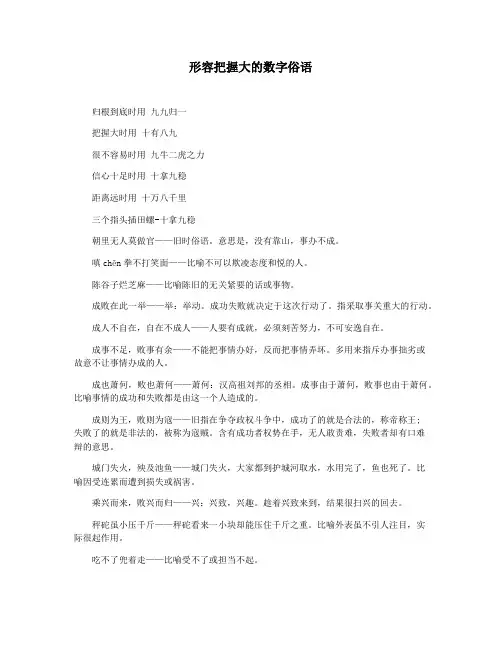 形容把握大的数字俗语