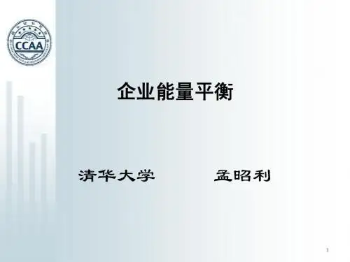 03-02企业能量平衡