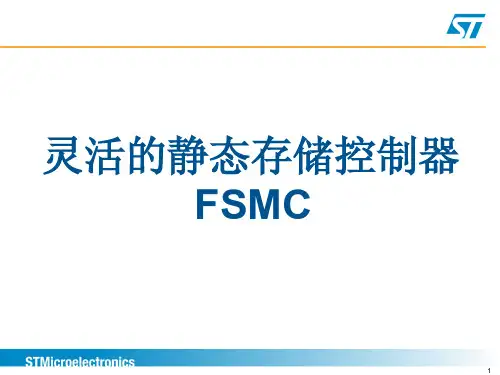灵活的静态存储控制器FSMC