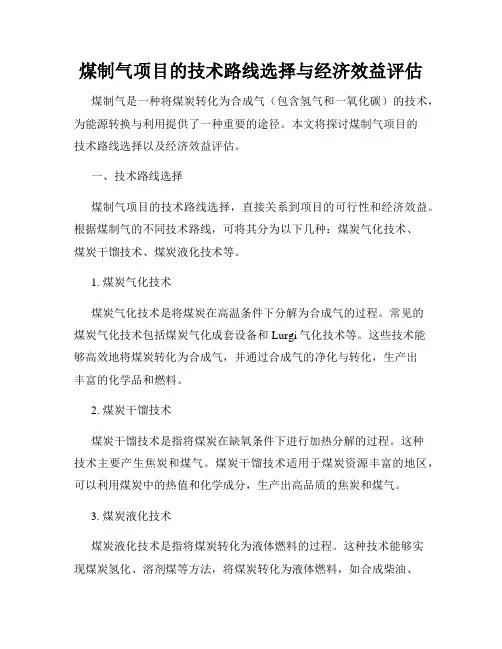煤制气项目的技术路线选择与经济效益评估