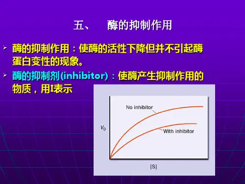酶的抑制作用