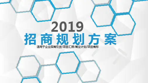 招商引资工作计划及措施PPT