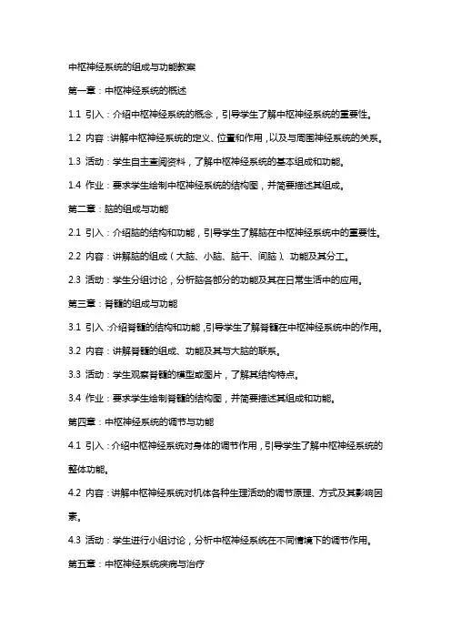 中枢神经系统的组成与功能教案