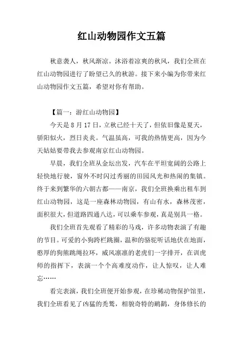 红山动物园作文五篇