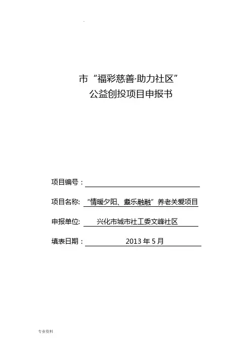 公益创投项目申报书