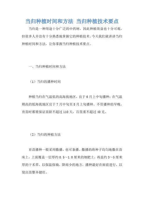 当归种植时间和方法 当归种植技术要点