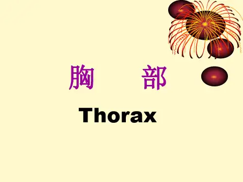 局部解剖学PPT课件 胸部解剖