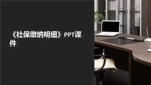 《社保缴纳明细》课件