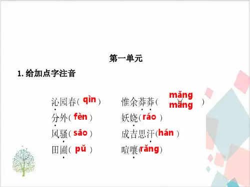 人教版中考语文总复习七-九年级-ppt下载11