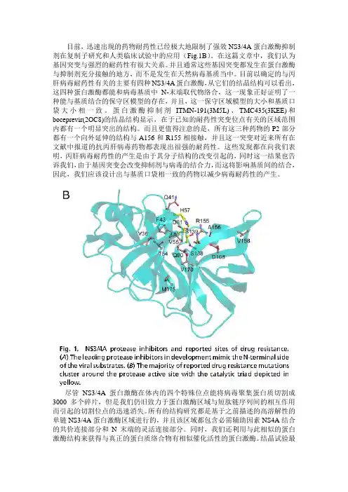 目前,迅速出现的药物耐药性已经极大地限制了强效NS34A蛋白激酶抑制剂