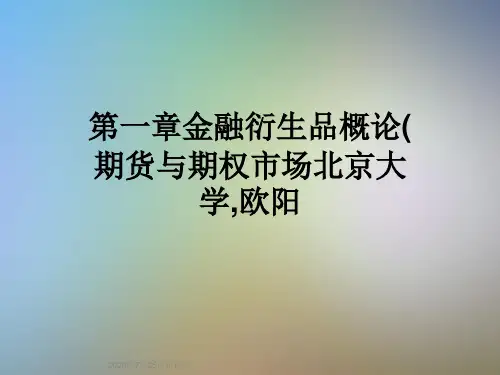 第一章金融衍生品概论(期货与期权市场北京大学,欧阳