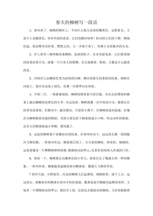 春天的柳树写一段话