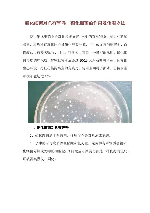 硝化细菌对鱼有害吗,硝化细菌的作用及使用方法