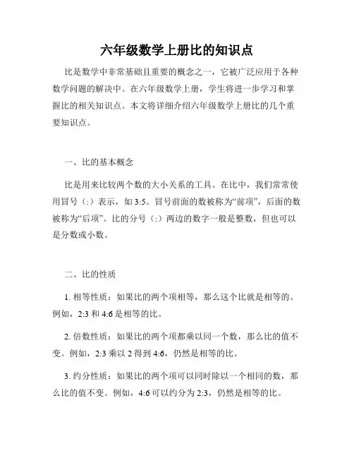 六年级数学上册比的知识点
