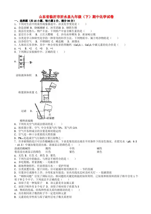 山东省临沂市沂水县九年级化学下学期期中试卷(含解析)_新人教版