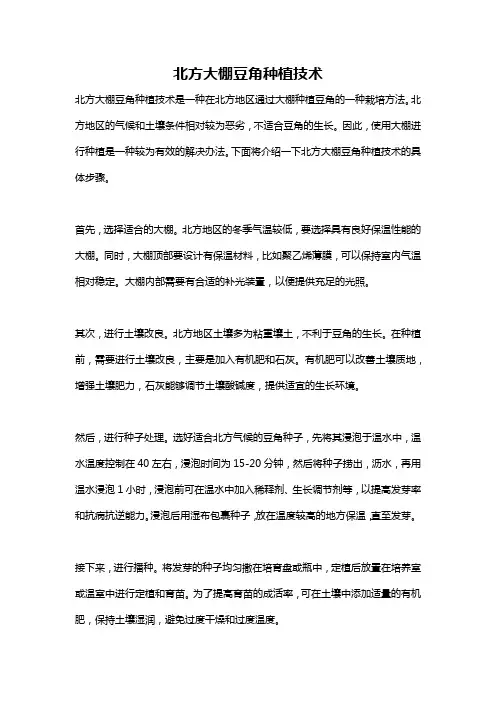 北方大棚豆角种植技术