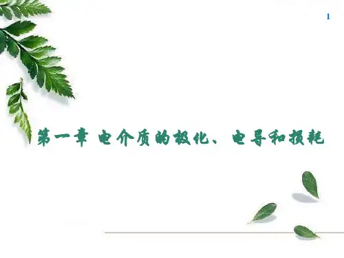 2. 第一章  电介质极化、电导、损耗