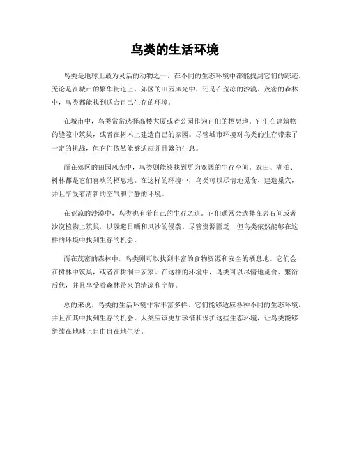 鸟类的生活环境
