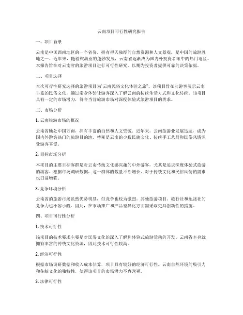 云南项目可行性研究报告