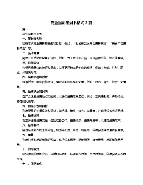商业摄影策划书格式3篇