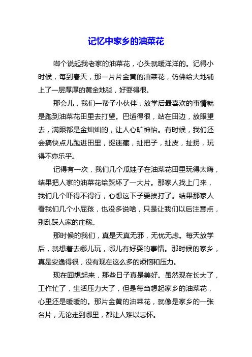 记忆中家乡的油菜花作文800字