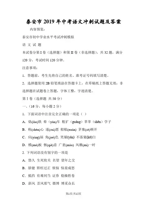 泰安市中考语文冲刺试题及答案