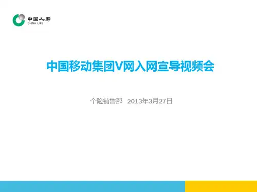 集团V网入网说明