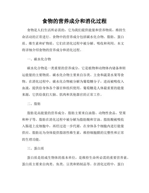 食物的营养成分和消化过程