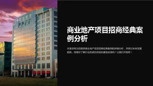 商业地产项目招商经典案例分析