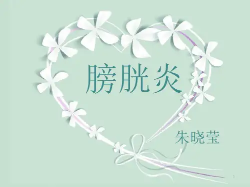 膀胱炎疾病培训PPT课件