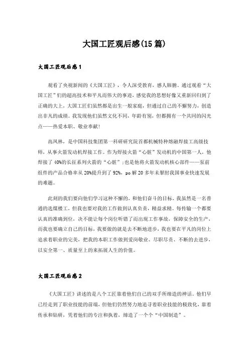 大国工匠观后感(15篇)