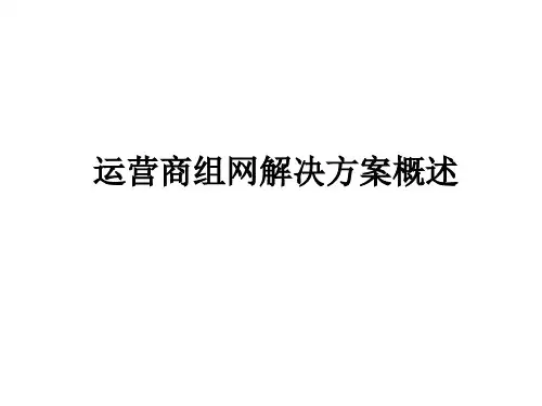 ruckus智能天线型AP运营商WLAN组网解决方案概述