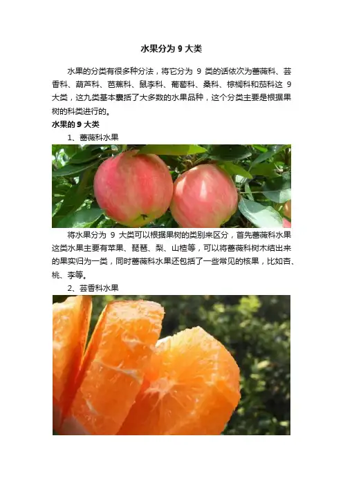 水果分为9大类