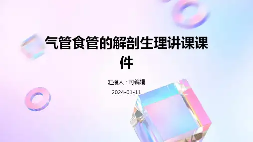 气管食管的解剖生理讲课课件