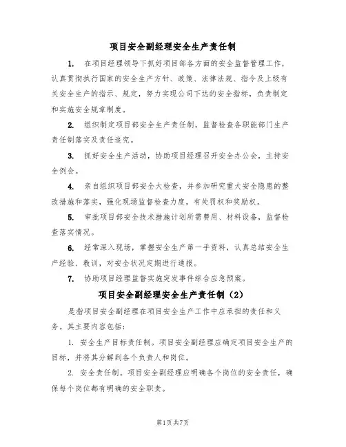 项目安全副经理安全生产责任制（5篇）