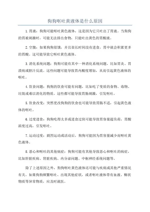 狗狗呕吐黄液体是什么原因