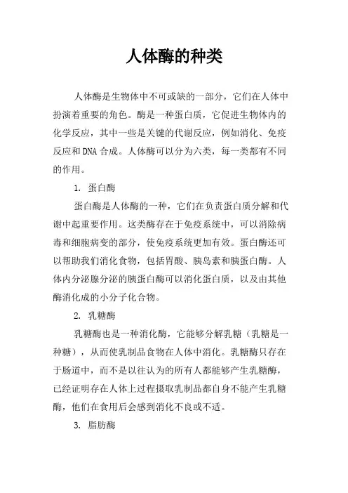 人体酶的种类
